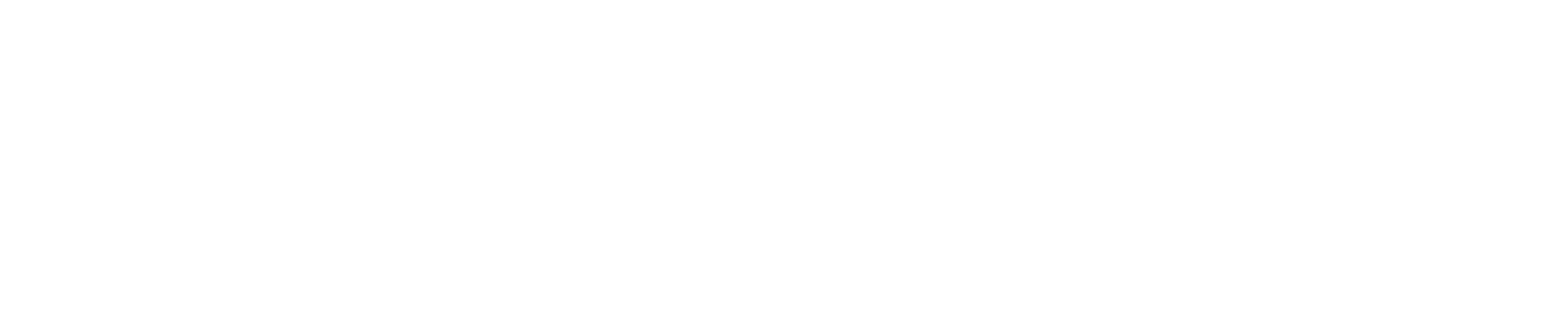 PentaGroup_White_RGB
