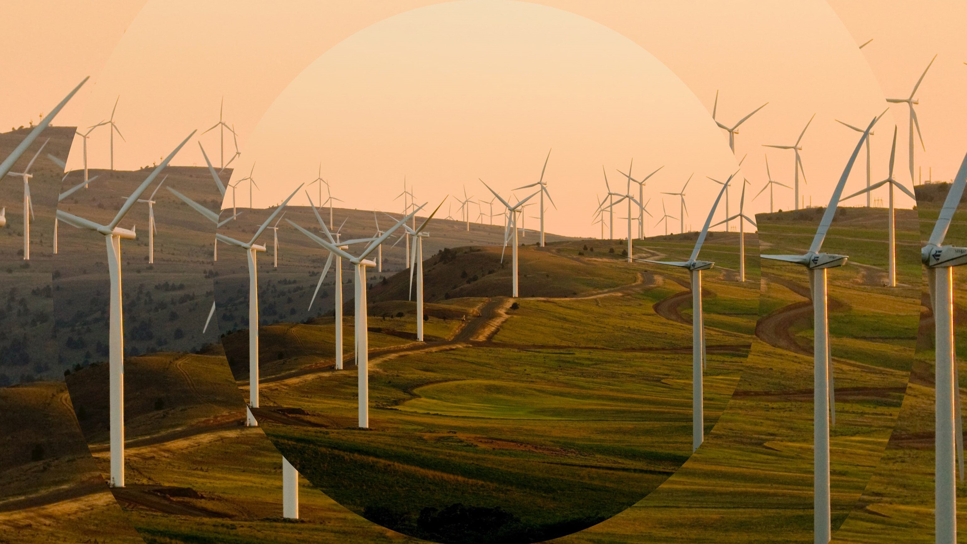 On-shore wind farm on hillside